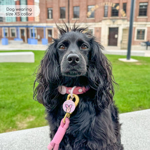 Disney© Waterproof Collar - Piglet