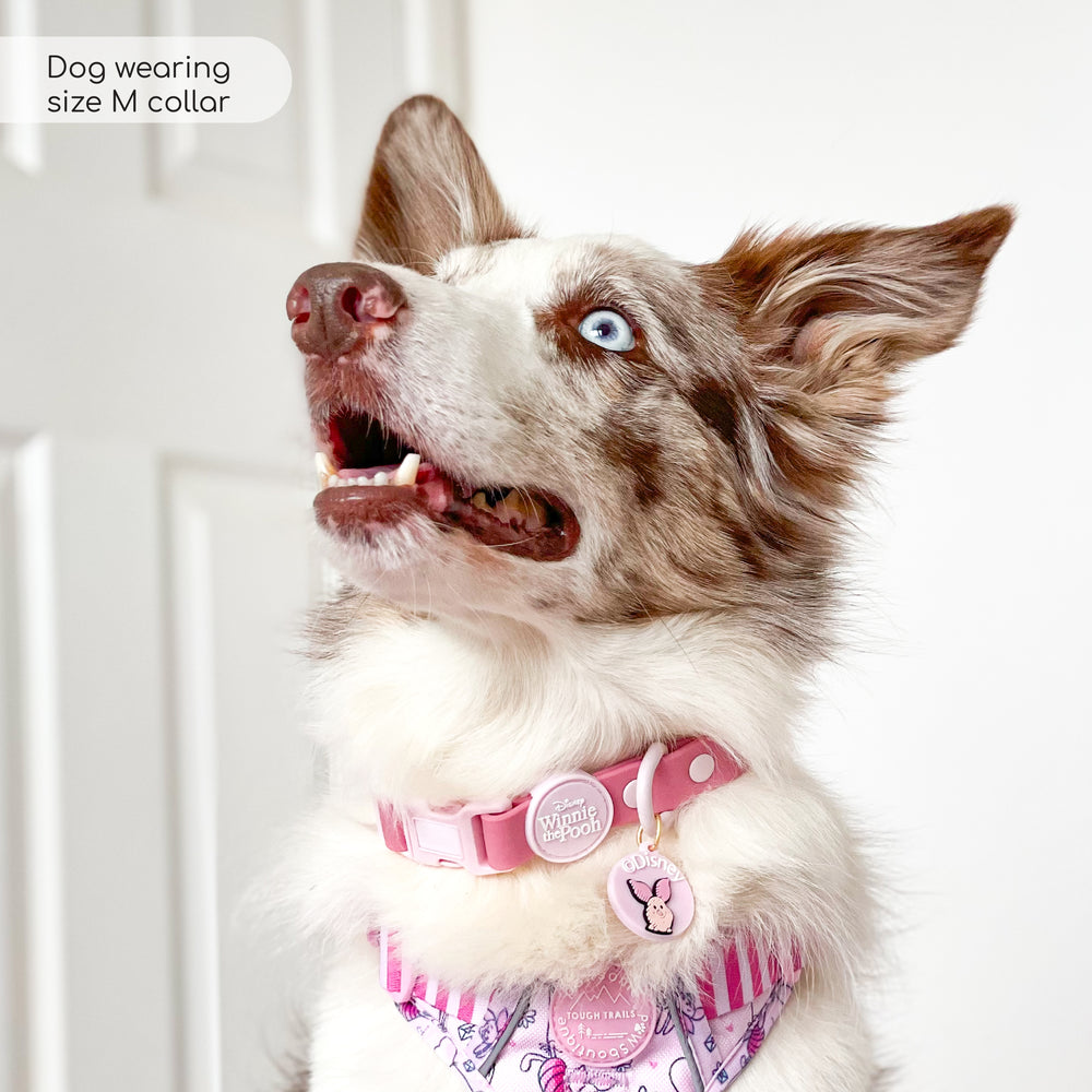 Disney© Waterproof Collar - Piglet