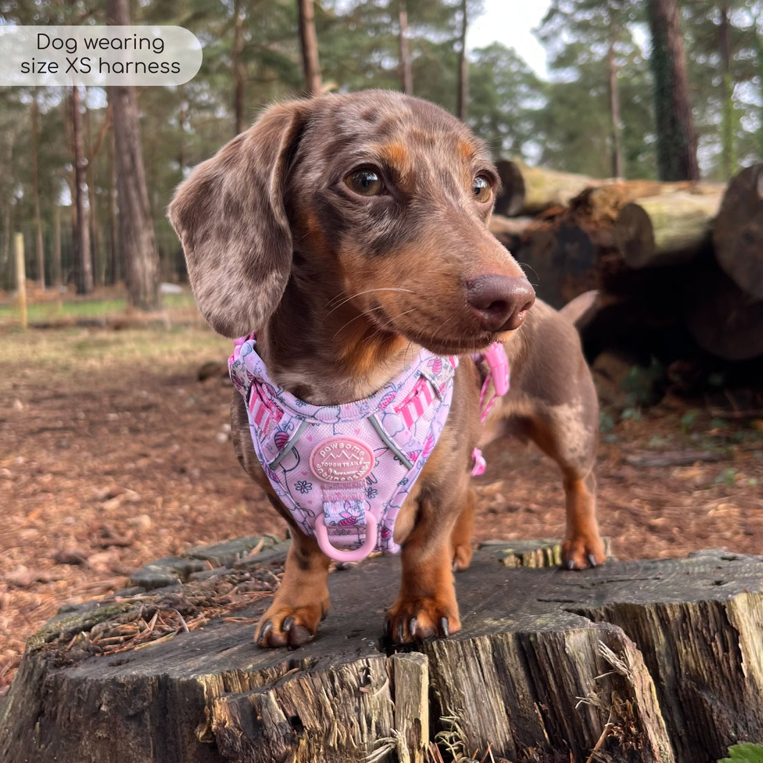 Disney© Tough Trails™ Harness - Piglet