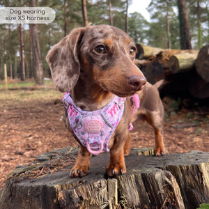 Disney© Tough Trails™ Harness - Piglet