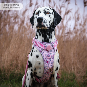 Disney© Tough Trails™ Harness - Piglet