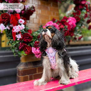 Disney© Tough Trails™ Harness - Piglet