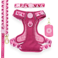 Walkies Ready Raspberry Pink Ultimate Bundle