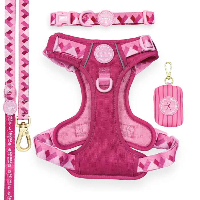 Walkies Ready Raspberry Pink Ultimate Bundle