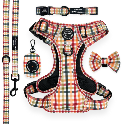 Plaid Pup Ultimate Bundle