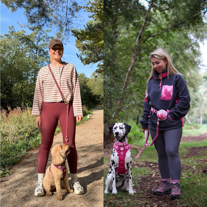 STRESS FREE WALKS-image