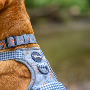 Disney© Collar - Bambi + Friends Blue