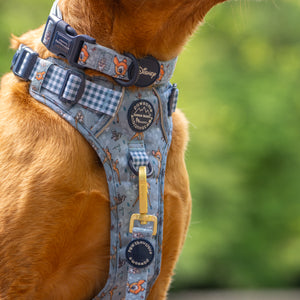 Disney© Collar - Bambi + Friends Blue