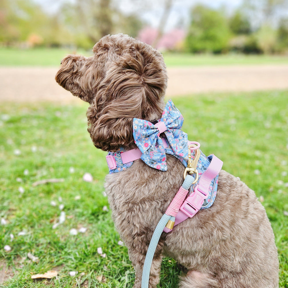 Sailor Bow - Whimsical Wildflowers