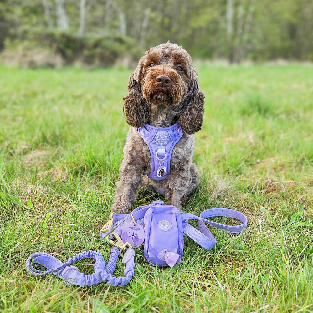Handsfree Lead - Walkies Ready® Lavender Lilac