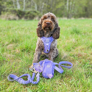 Handsfree Lead - Walkies Ready® Lavender Lilac