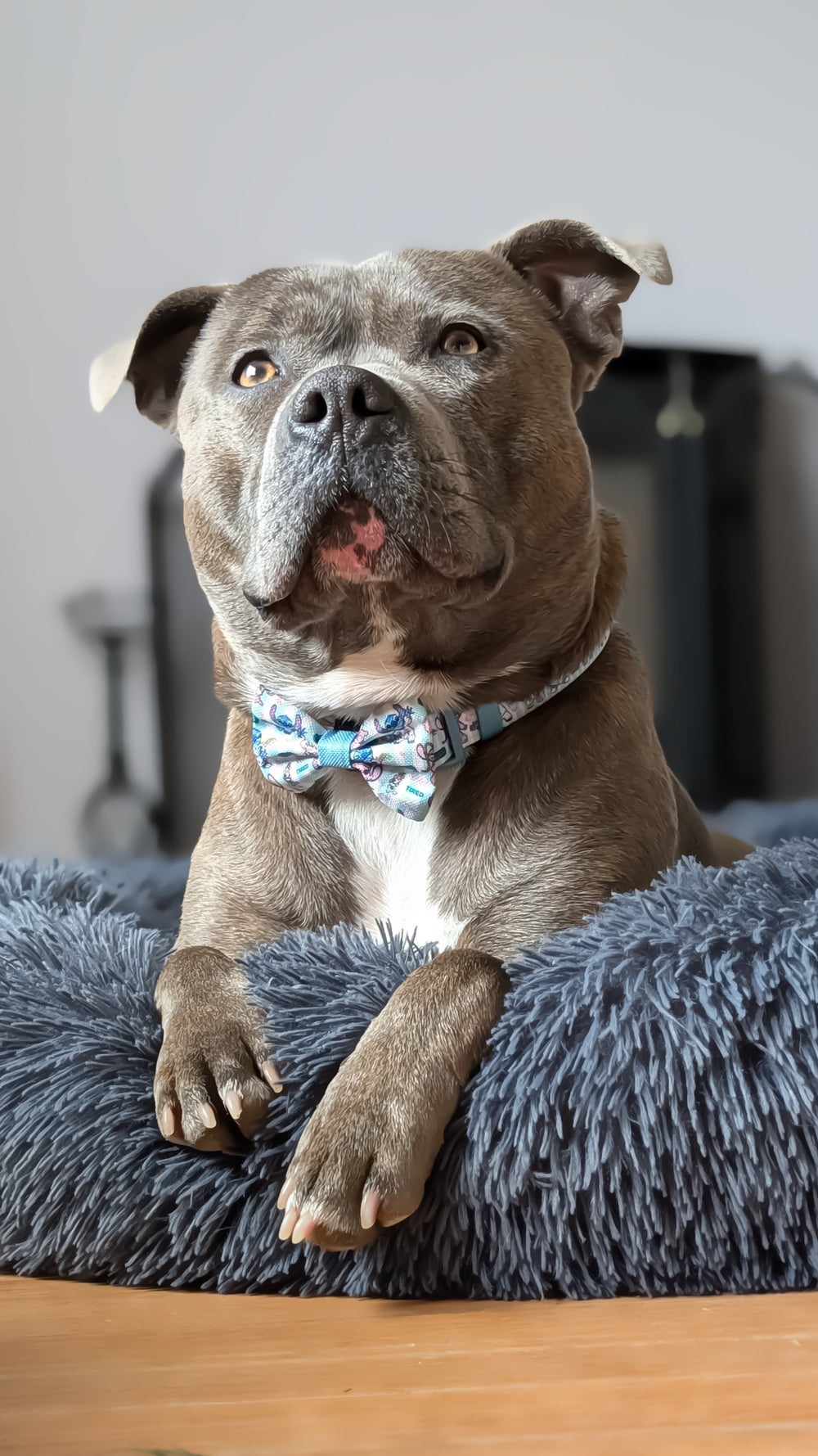 Disney© Bow Tie - Stitch's Slumber Party