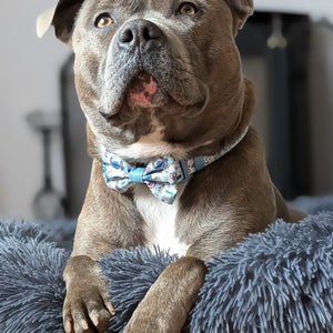 Disney© Bow Tie - Stitch's Slumber Party