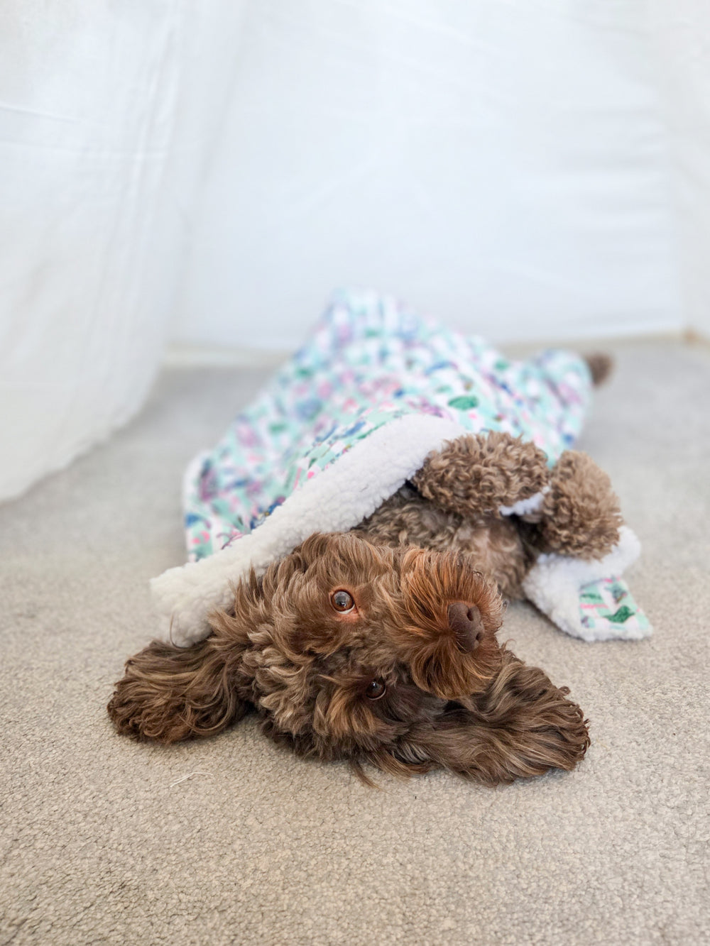 Disney© Dog Blanket - Stitch's Slumber Party