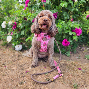 4ft Rope Lead - Brown + Pink