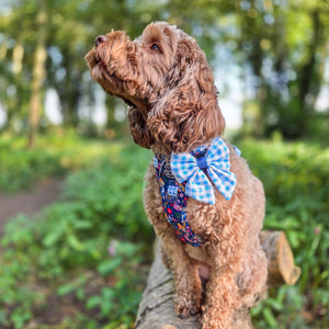 Sailor Bow - Alice In Wonderland