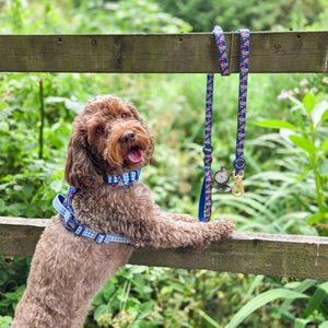 Disney© Lead - Alice In Wonderland