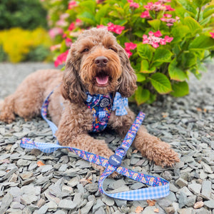 Disney© Lead - Alice In Wonderland