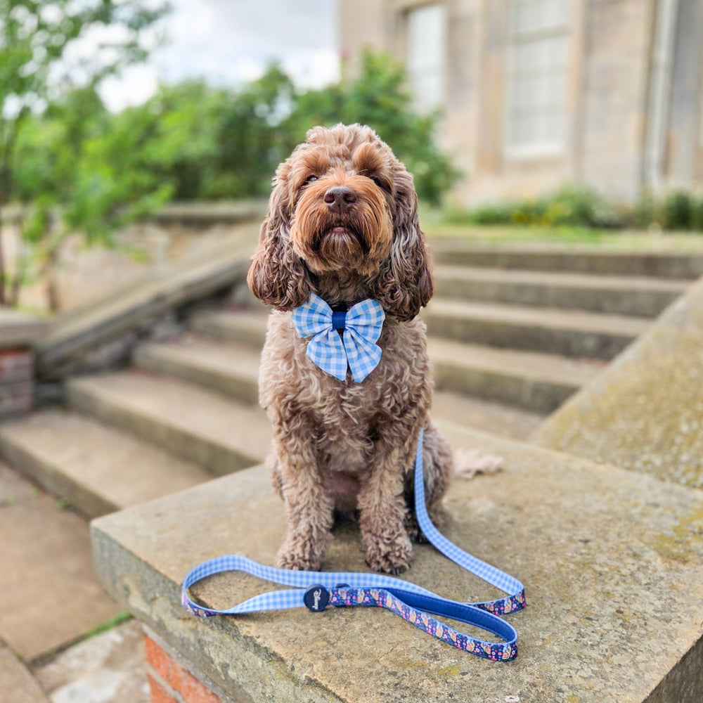 Sailor Bow - Alice In Wonderland
