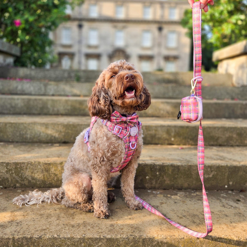 Poo Bag Holder - Tweed Sunset