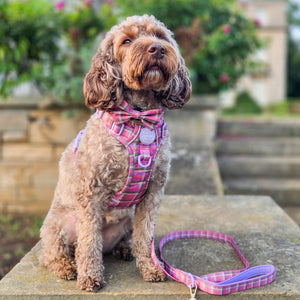 Bow Tie - Tweed Sunset