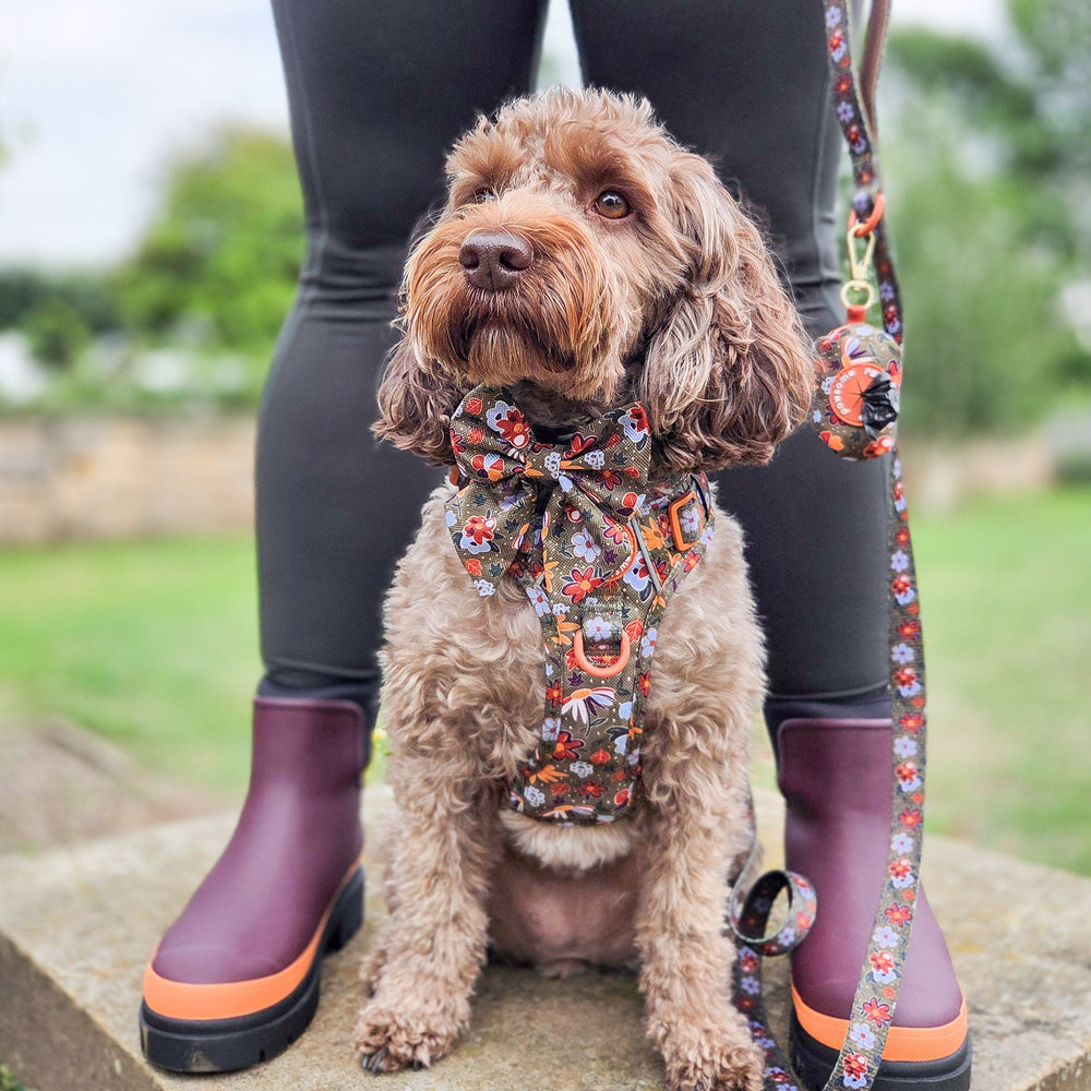 Sailor Bow - Rust & Bloom