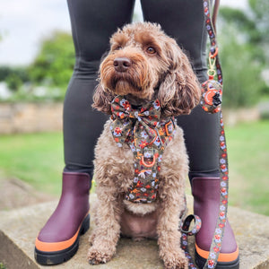 Sailor Bow - Rust & Bloom