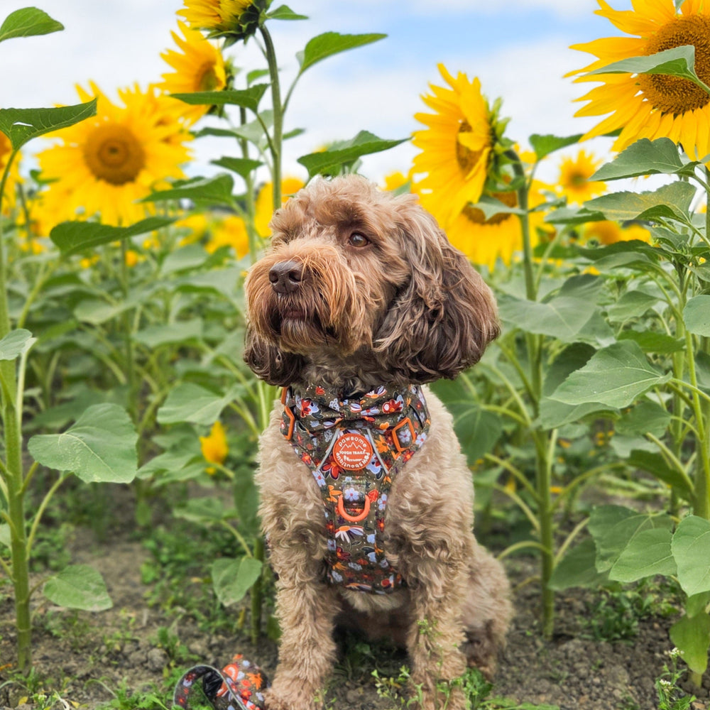 Bow Tie - Rust & Bloom