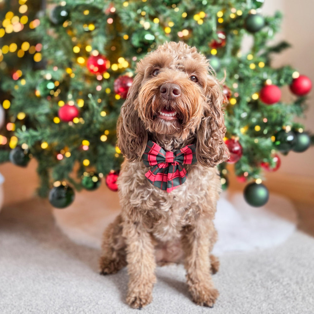 Sailor Bow - Bows Of Joy (Gingham)