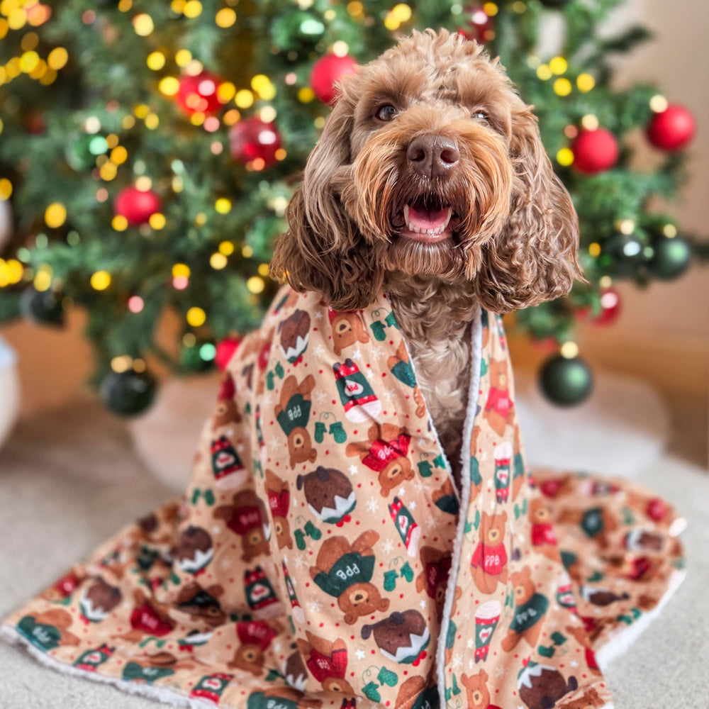 Dog Blanket - Snuggle Season