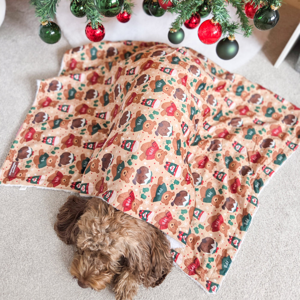 Dog Blanket - Snuggle Season