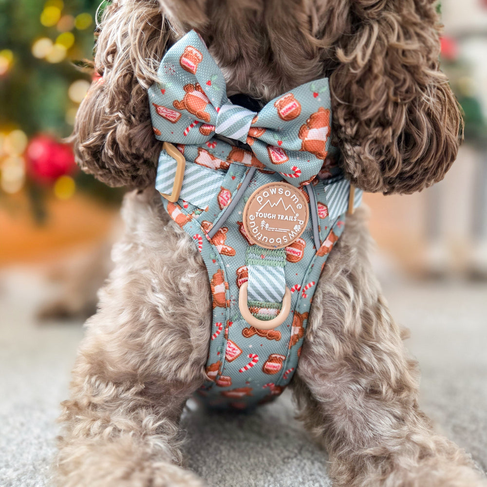 Disney© Bow Tie - Gingerbread Bear Sage
