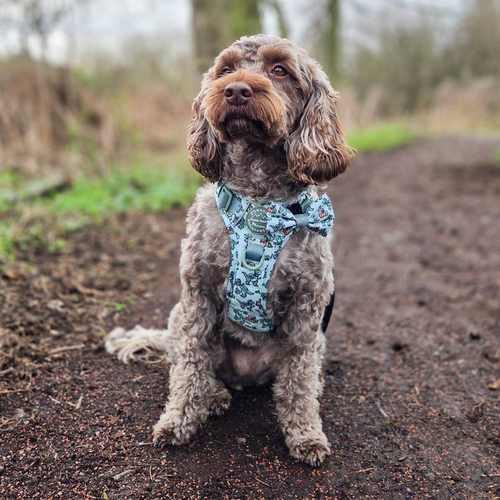 Disney© Bow Tie - Rex