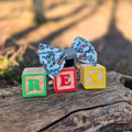 Disney© Bow Tie - Rex