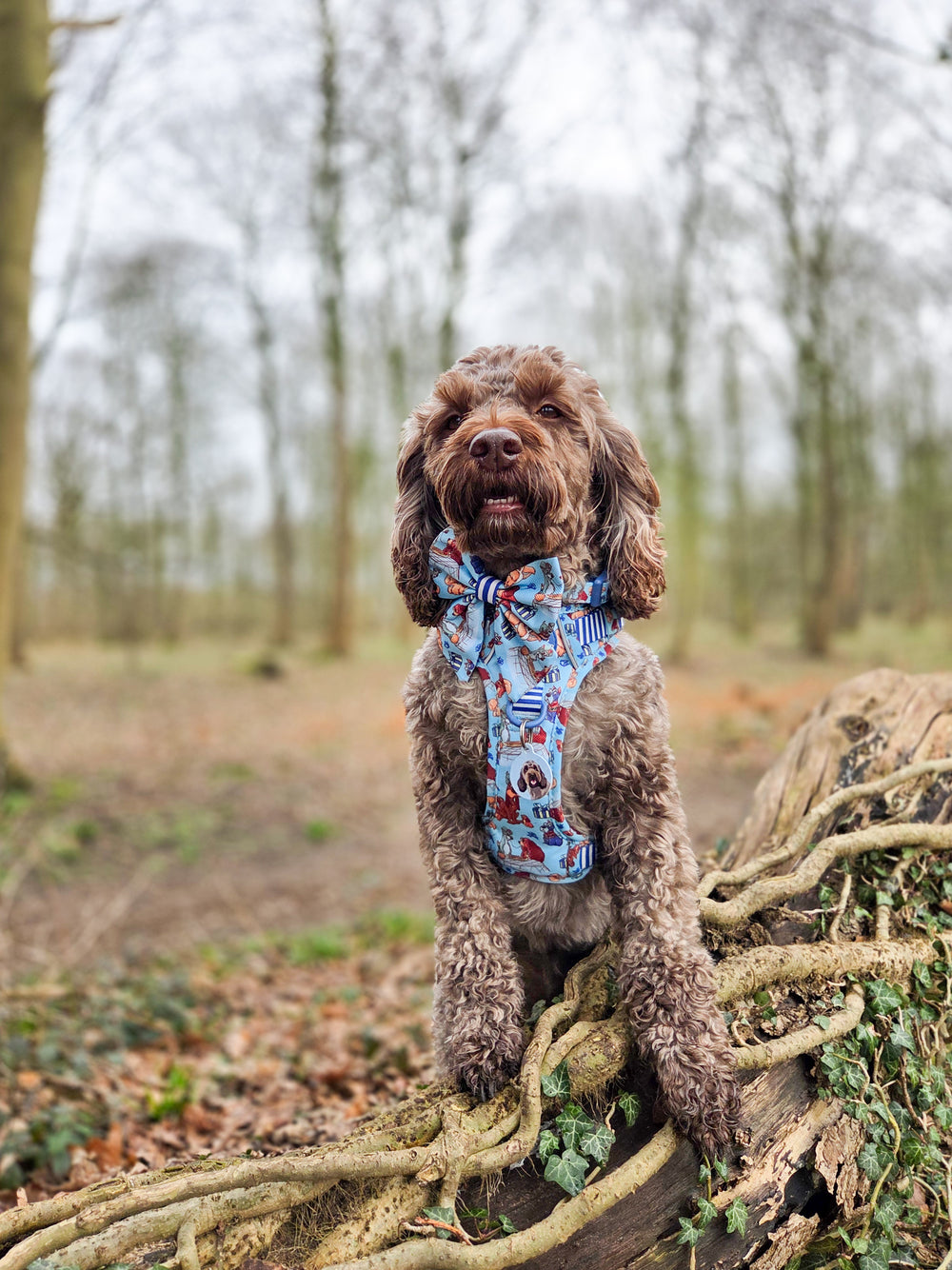 Disney© Sailor Bow Tie - Tails Of Love