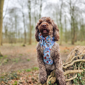 Disney© Sailor Bow Tie - Tails Of Love