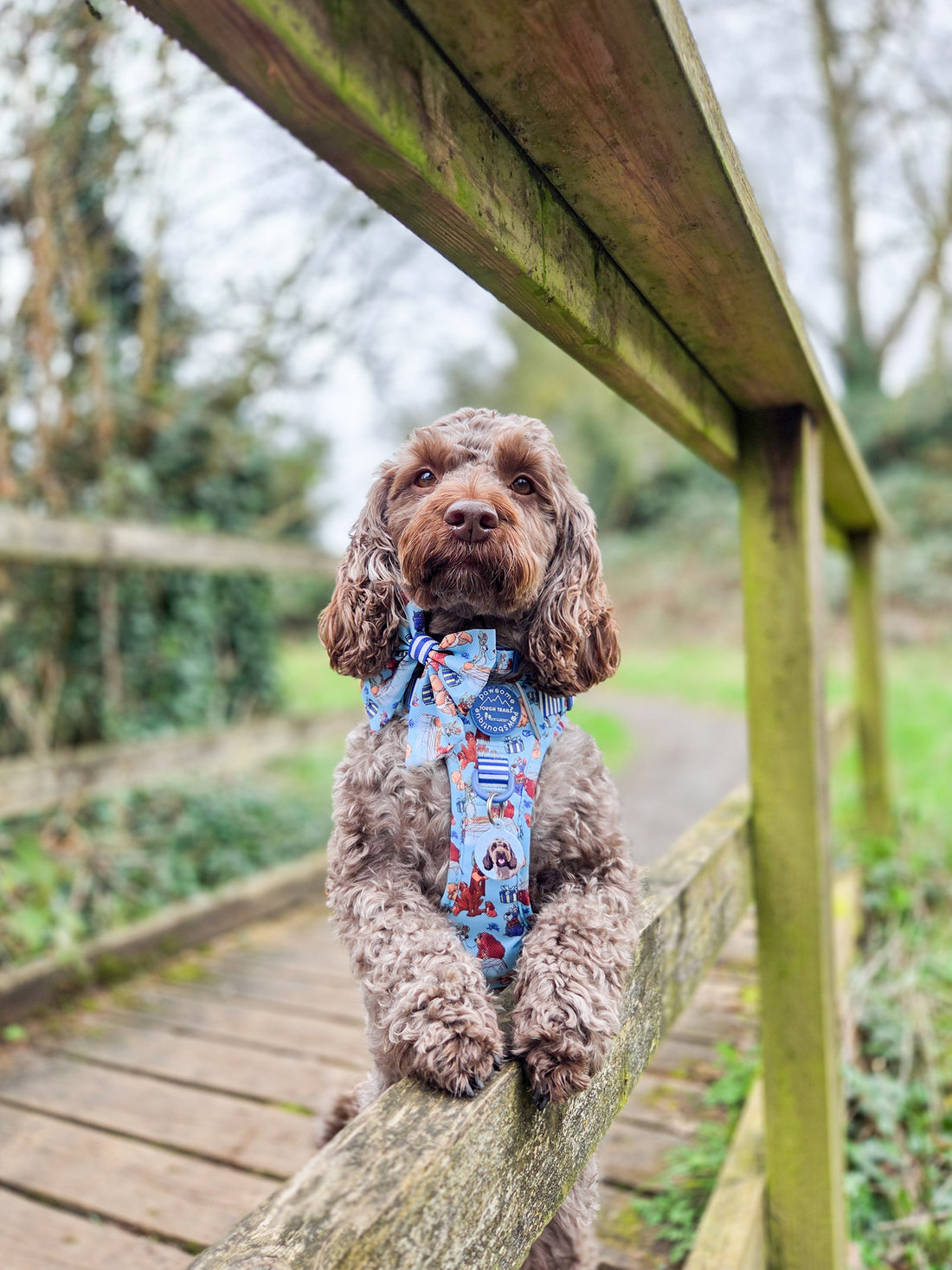 Disney© Tough Trails™ Harness - Tails Of Love