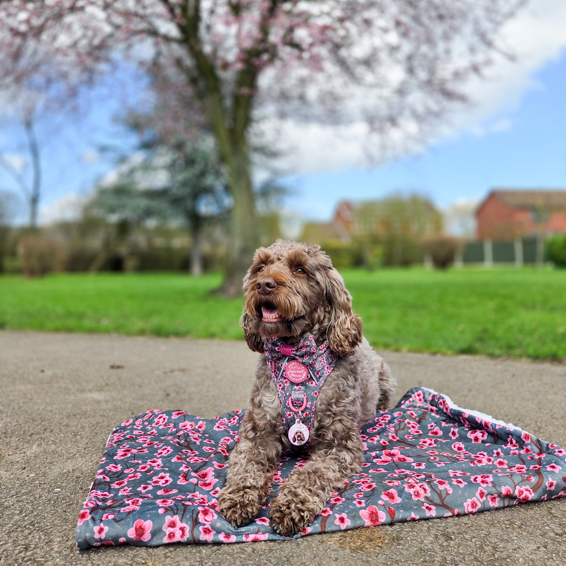 Dog Blanket -  Cherry Blossom