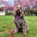 Sailor Bow - Cherry Blossom