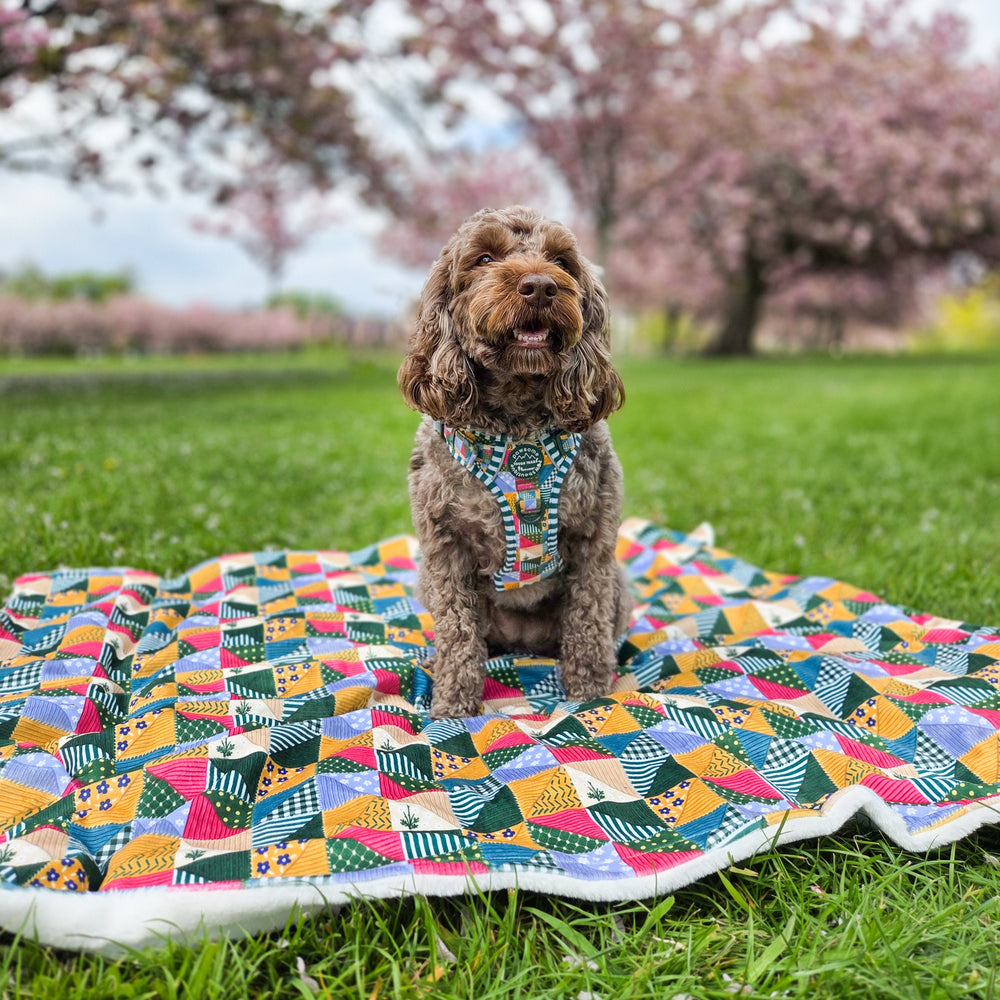 Dog Blanket - Patchwork