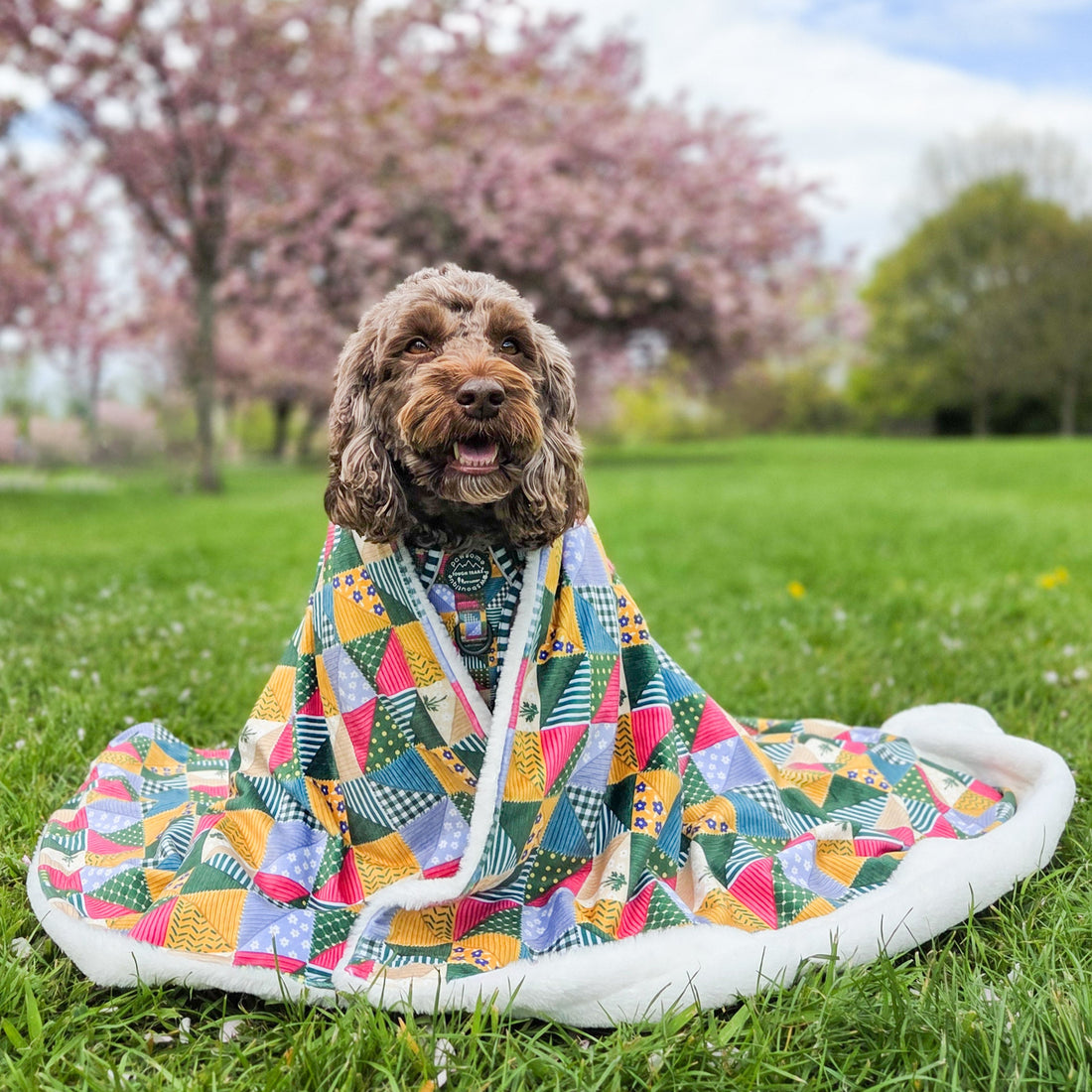 Dog Blanket - Patchwork