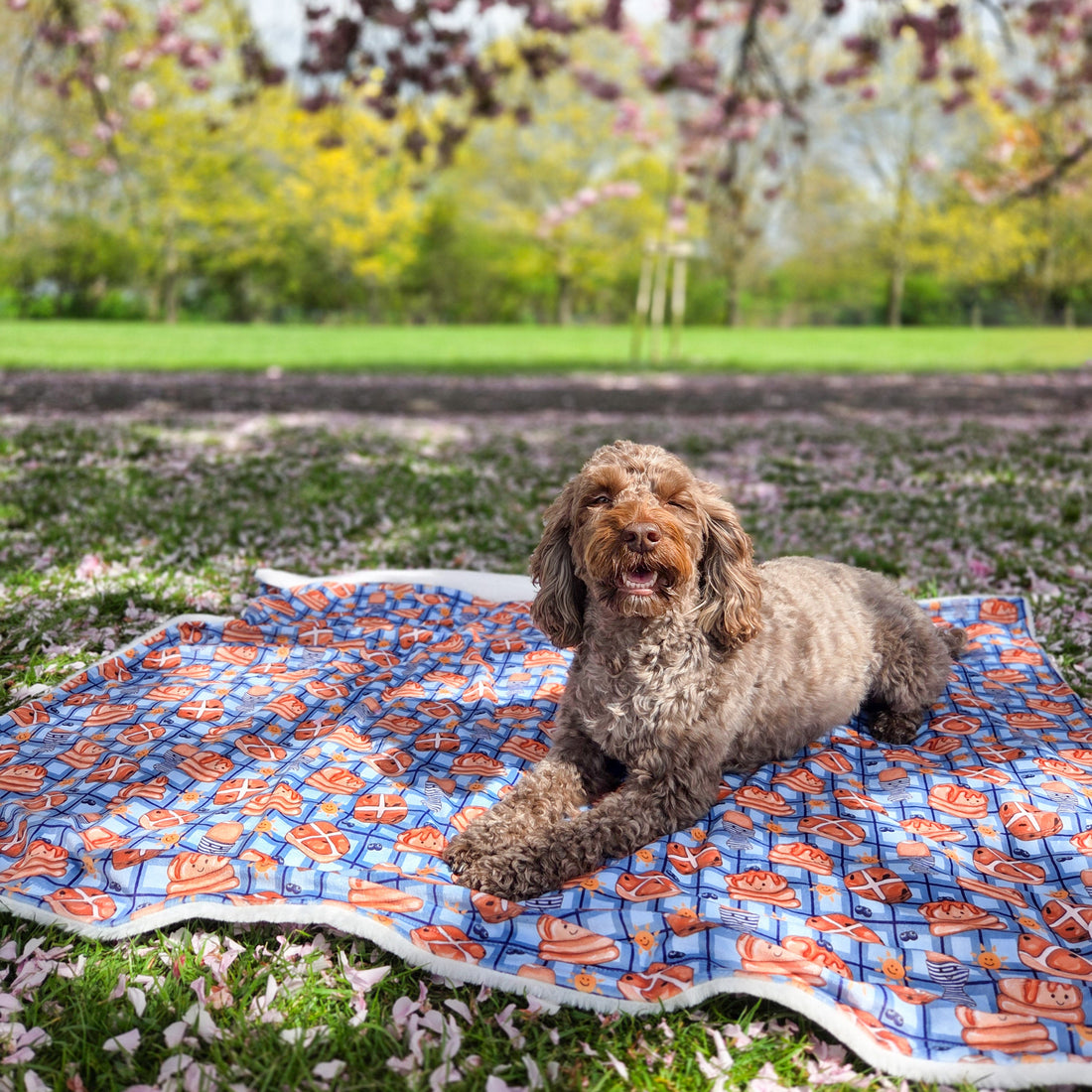 Dog Blanket - Rise & Shine
