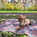 Dog Blanket - Rise & Shine