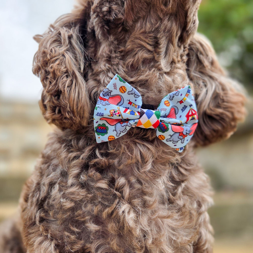 Disney© Bow Tie - Dumbo