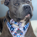 Paddington™ Bow Tie - London