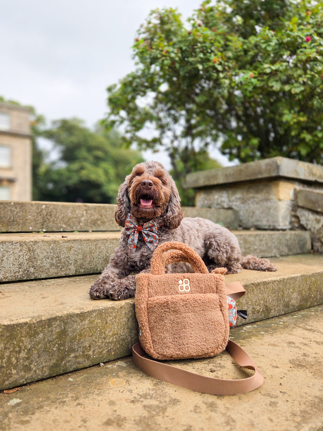Teddy Crossbody Bag