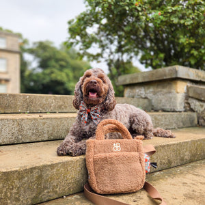 Teddy Crossbody Bag
