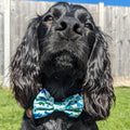 Bow Tie - Dinky Dino