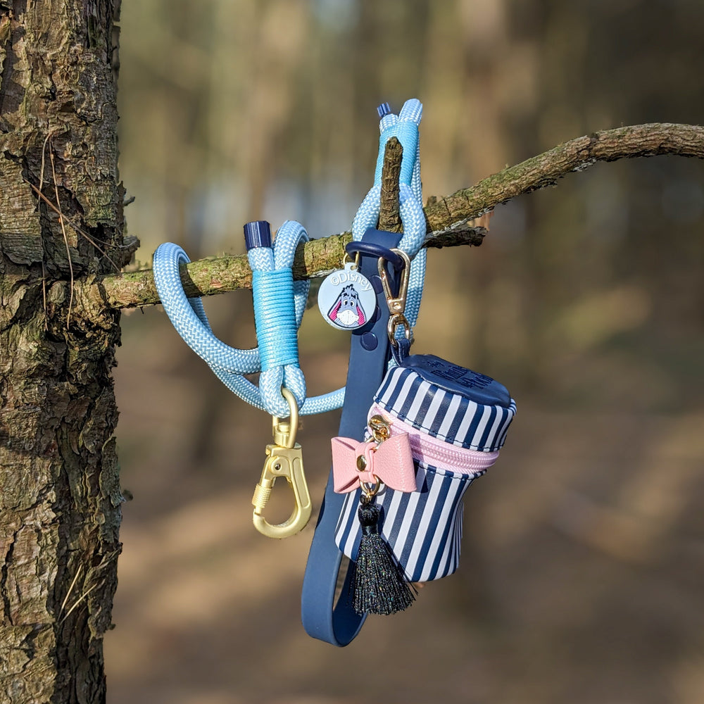 Disney© Collar/Lead Charm - Eeyore