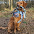 Disney© 4ft Rope Lead - Eeyore - Baby Blue and Navy